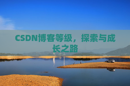CSDN博客等级,探索与成长之路