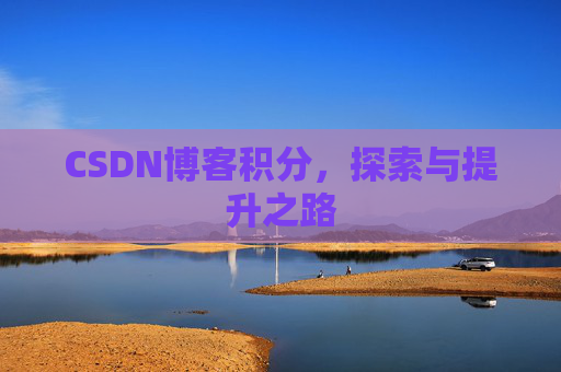 CSDN博客积分,探索与提升之路